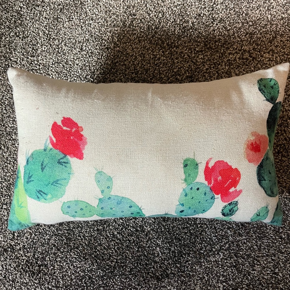 Cactus decorative pillow
